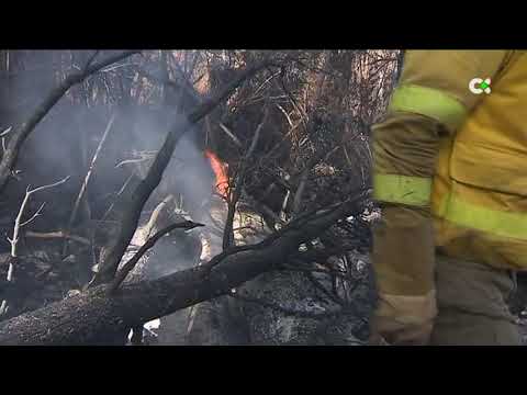 Trabajan en los puntos calientes del incendio de Tenerife