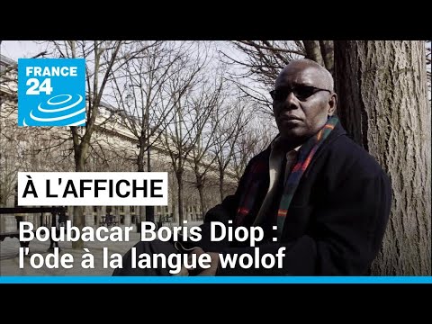 Un tombeau pour Kinne Gaajo, de Boubacar Boris Diop : une ode à la langue wolof • FRANCE 24