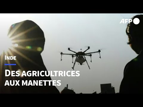 En Inde, les drone sisters pilotent l'agriculture et le changement social | AFP