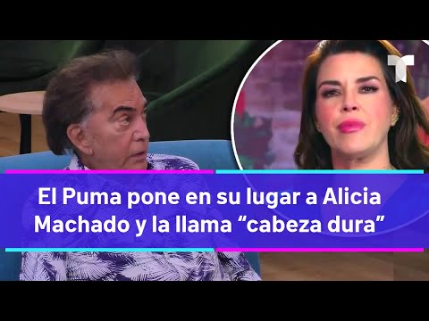 Top Chef VIP  | El Puma pone en su lugar a Alicia Machado y la llama “cabeza dura”
