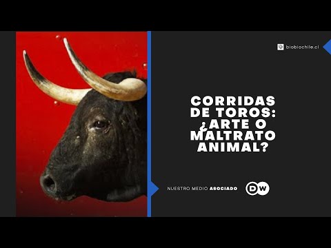 Debate en Ciudad de México sobre prohibir corridas de toros