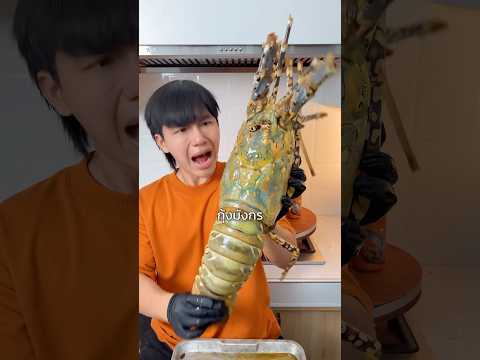 กุ้งมังกรใหญ่3สายพันธุ์🦞โ