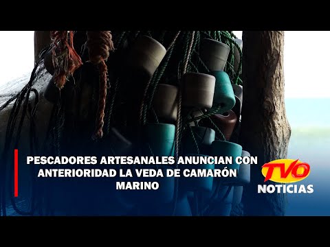 Pescadores Artesanales anuncian con anterioridad la de veda de  camarón marino