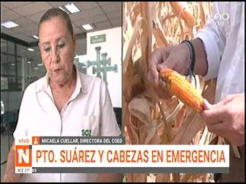 03042024   MICAELA  CUELLAR   PUERTO SUAREZ Y CABEZAS SE DECLARAN EN EMERGENCIA POR  SEQUIA   UNO