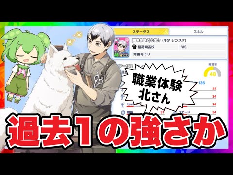 万能型で使いやすい⁈職業体験2北さん性能解説【ハイキュー‼︎Touch The Dream】【無課金ハイドリ】ずんだもん解説