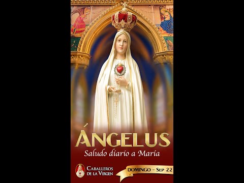 Ángelus 22 de septiembre de 2024 - Oración del medio día con los Caballeros de la Virgen