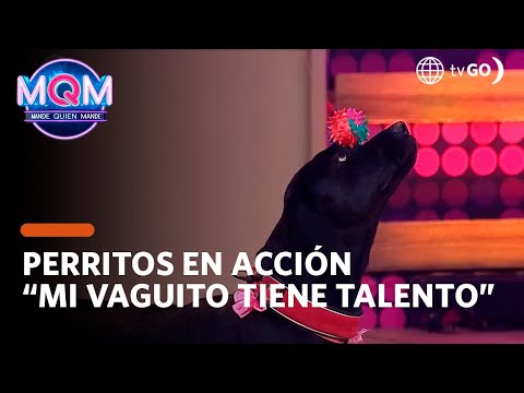 Mande Quien Mande: Mi Vaguito tiene talento (HOY)