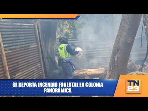 Se reporta incendio forestal en colonia Panorámica