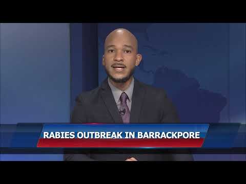 Ministries Working To Contain Rabies Outbreak