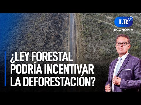Ley Forestal: ¿Qué implica y por qué podría incentivar la deforestación? | LR+ Economía