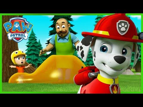 Marshall saves campers covered in sticky syrup and more! - PAW Patrol Episode - Cartoons for Kids