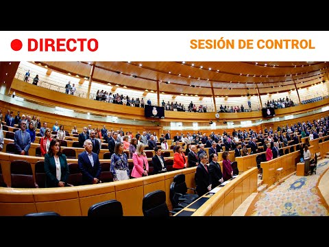 SENADO  EN DIRECTO: CONTROL al GOBIERNO marcado por el CASO KOLDO | RTVE Noticias