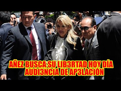 JEANINE AÑEZ Y LOS EXMINISTROS VAN A AUDI3NCIA DE AP3LACIÓN HOY DÍA BUSCANDO SU LIB3RTAD..
