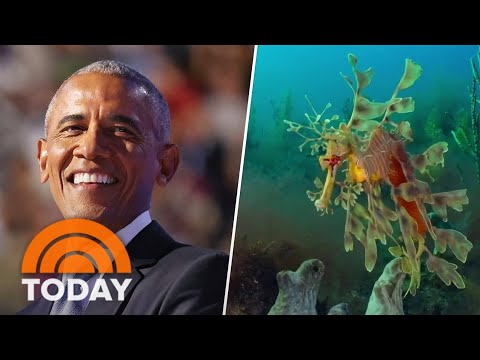 Get a sneak peek at ‘Our Oceans’ narrated by Barack Obama