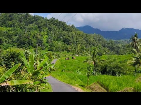 TANPAMU       #lagunostalgia#tembangkenangan#lagulawas#masukberanda