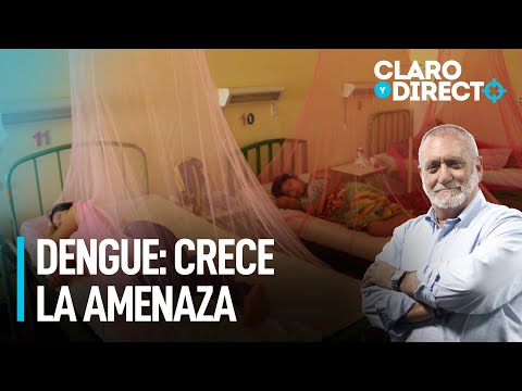 Dengue: crece la amenaza | Claro y Directo con Álvarez Rodrich