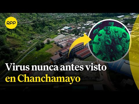 Salud: Identifican un virus nunca antes visto en Chanchamayo | Espacio vital