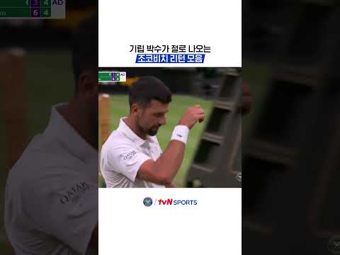 기립 박수가 절로나오는 조코비치 리턴 모음 #2026윔블던챔피언십