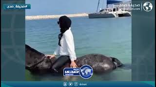 داخله البحر بالخيل