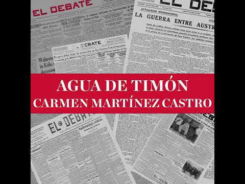 Agua de timón de Carmen Martínez Castro: Los camareros de Maduro