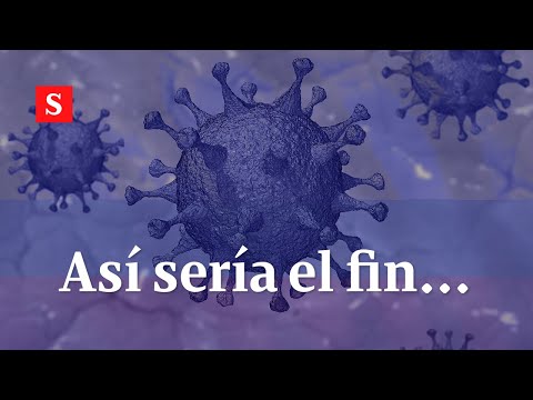 Así se lograría ponerle fin al coronavirus en Colombia | Videos Semana