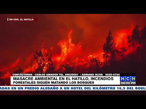 Fuerte incendio forestal consume los bosques de El Hatillo