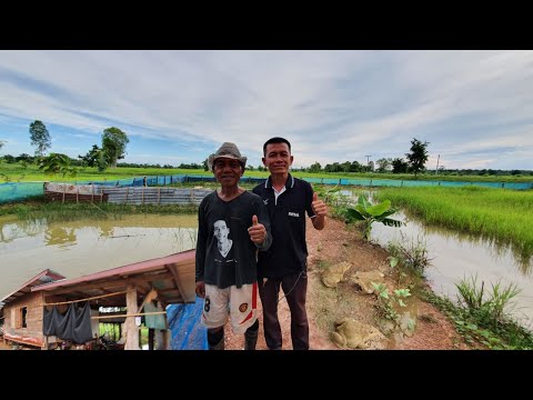 ปรับที่นา-2-ไร่-เลี้ยงปลาเลี้ย ปรับที่นา-2-ไร่-เลี้ยงปลาเลี้ย