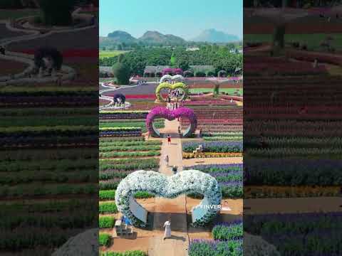 สวนดอกไม้กาญจนบุรีสวนเมเปิ้ล