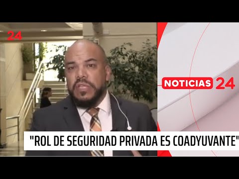 Subsecretario Vergara: “El rol de la seguridad privada es coadyuvante” | 24 Horas TVN Chile
