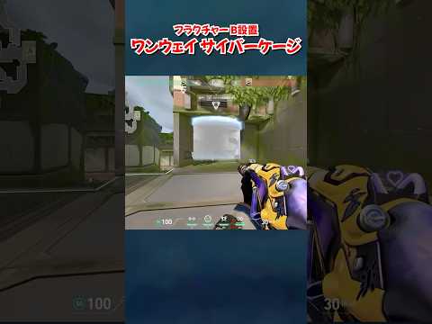 フラクチャー B 設置のワンウェイ サイバーケージ定点！