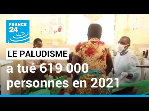 Le paludisme, un fléau qui a tué 619 000 personnes en 2021 • FRANCE 24