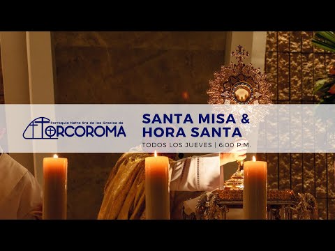 10 May de 2024 | Santo Rosario y Santa Misa  pero su tristeza se transformará en alegría.