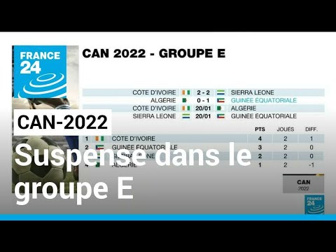 CAN-2022 : La Côte d'Ivoire peut s'en vouloir après son match nul (2-2) • FRANCE 24