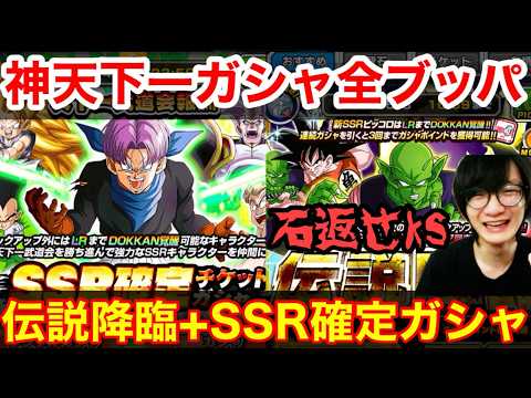 【ドッカンバトル 最強無料ガシャ SSR 確定 天下一ガシャ ＋ 目玉以外gm伝説降臨ガシャで今までのガシャ禁を無駄にする   】ベジータ＋ナッパ 【 ドカバト　ドラゴンボール
