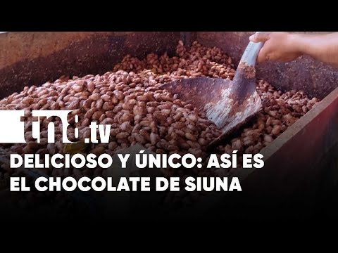 Conocé el chocolate caribeño de Nicaragua que se fabrica en Siuna