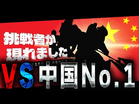 【日本TOP中国TOPとの対戦に突入する】現環境のステーゴインフェ丸わかり