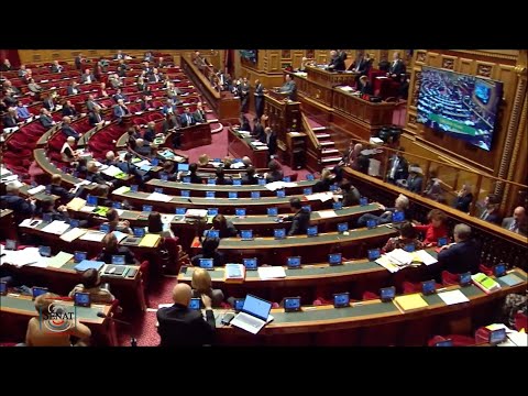 El Senado francés da luz verde al polémico proyecto de reforma de pensiones de Macron
