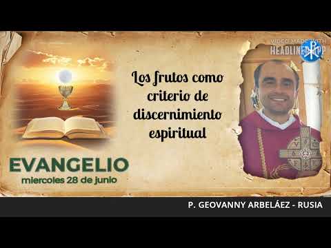 Evangelio de hoy, 26 de junio de 2024 | Los frutos como criterio de discernimiento espiritual