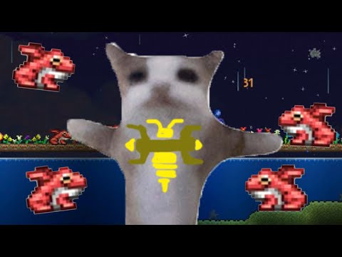 WIRI HART07 และนี่ก็คือPerfectHarmonyอันสมบูรณ์แบบTerraria8 WIRI HART07 และนี่ก็คือPerfectHarmonyอันสมบูรณ์แบบTerraria8