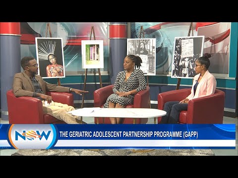 The Geriatric Adolescent Partnership Programme (GAPP)