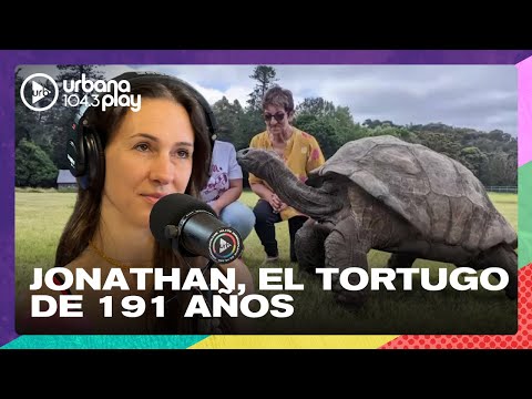 Jonathan, el animal más longevo del mundo #PuntoCaramelo