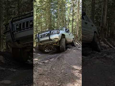 Flexin’ Like a Gym Bro – WJ Edition 💪