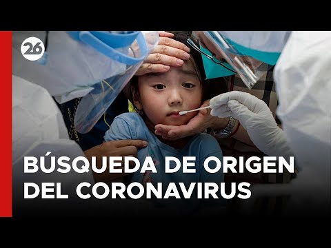 El coronavirus y la interminable búsqueda de su origen