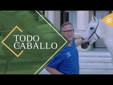 TodoCaballo | Cómo es el ojo y la visión de un caballo, con el veterinario Fernando Sanz