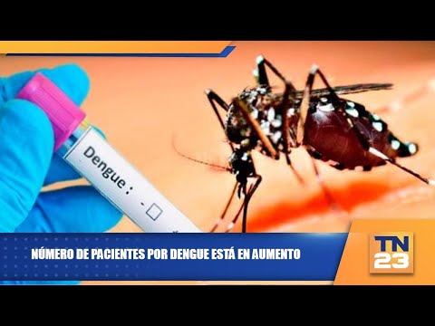 Número de pacientes por dengue está en aumento
