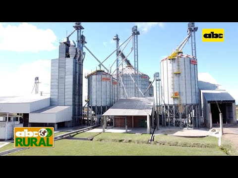 Abc Rural: Certificación en arroz para su comercialización