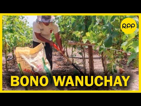 Bono Wanuchay: A partir de hoy agricultores pueden cobrar subsidio de S/ 350