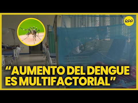 Dengue en el Perú : Estamos preparando un plan de trabajo para enfrentar este Fenómeno del Niño
