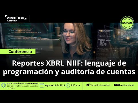 Reportes XBRL NIIF: lenguaje de programación y auditoría de cuentas