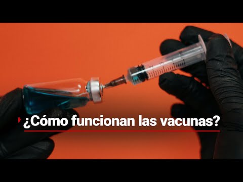 #MáquinaDelTiempo | Así se creó la primera vacuna moderna